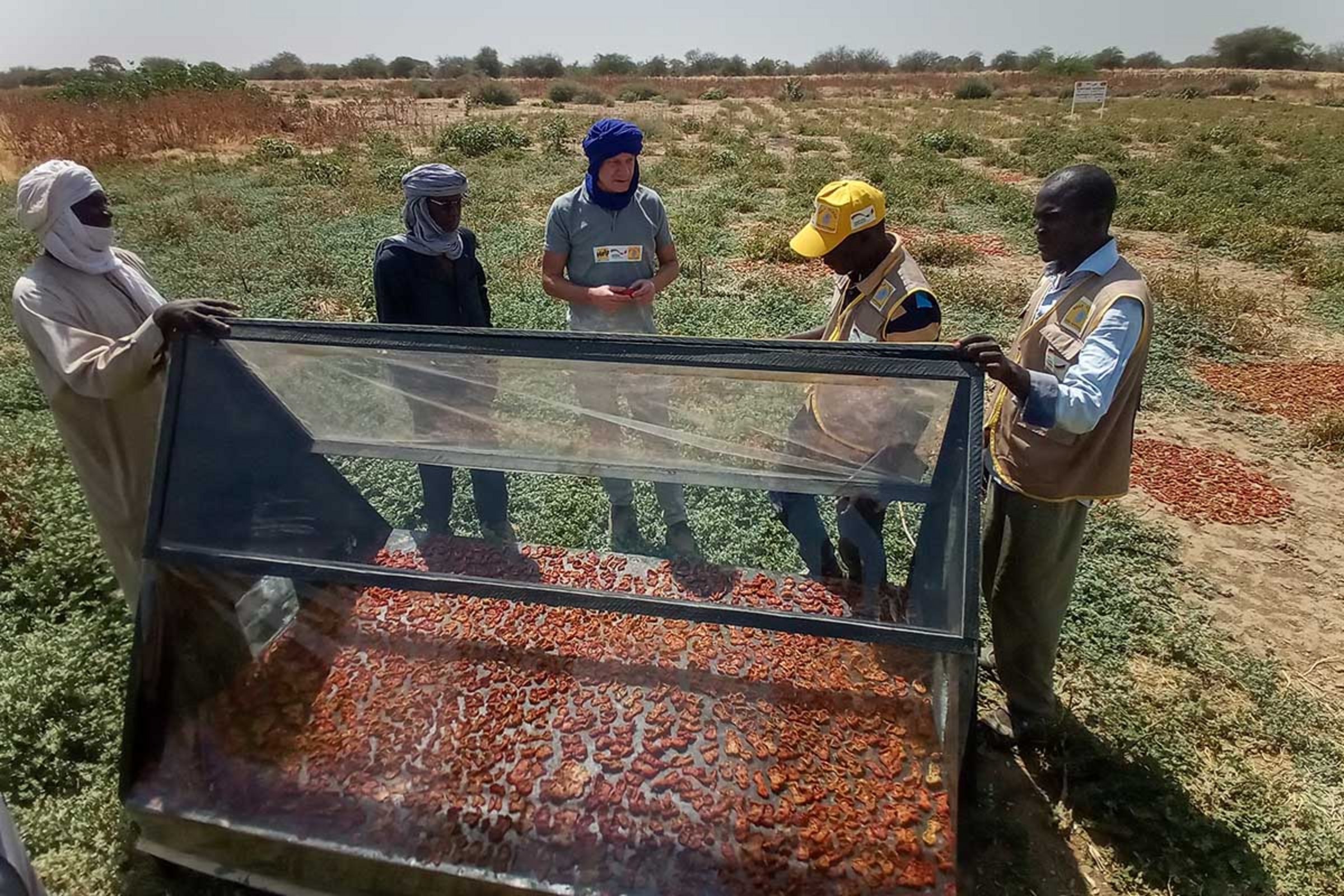 Gemüsetrockner im Tschad