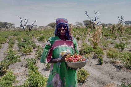 Kleinbäuerin aus dem Tschad präsentiert Chili-Ernte