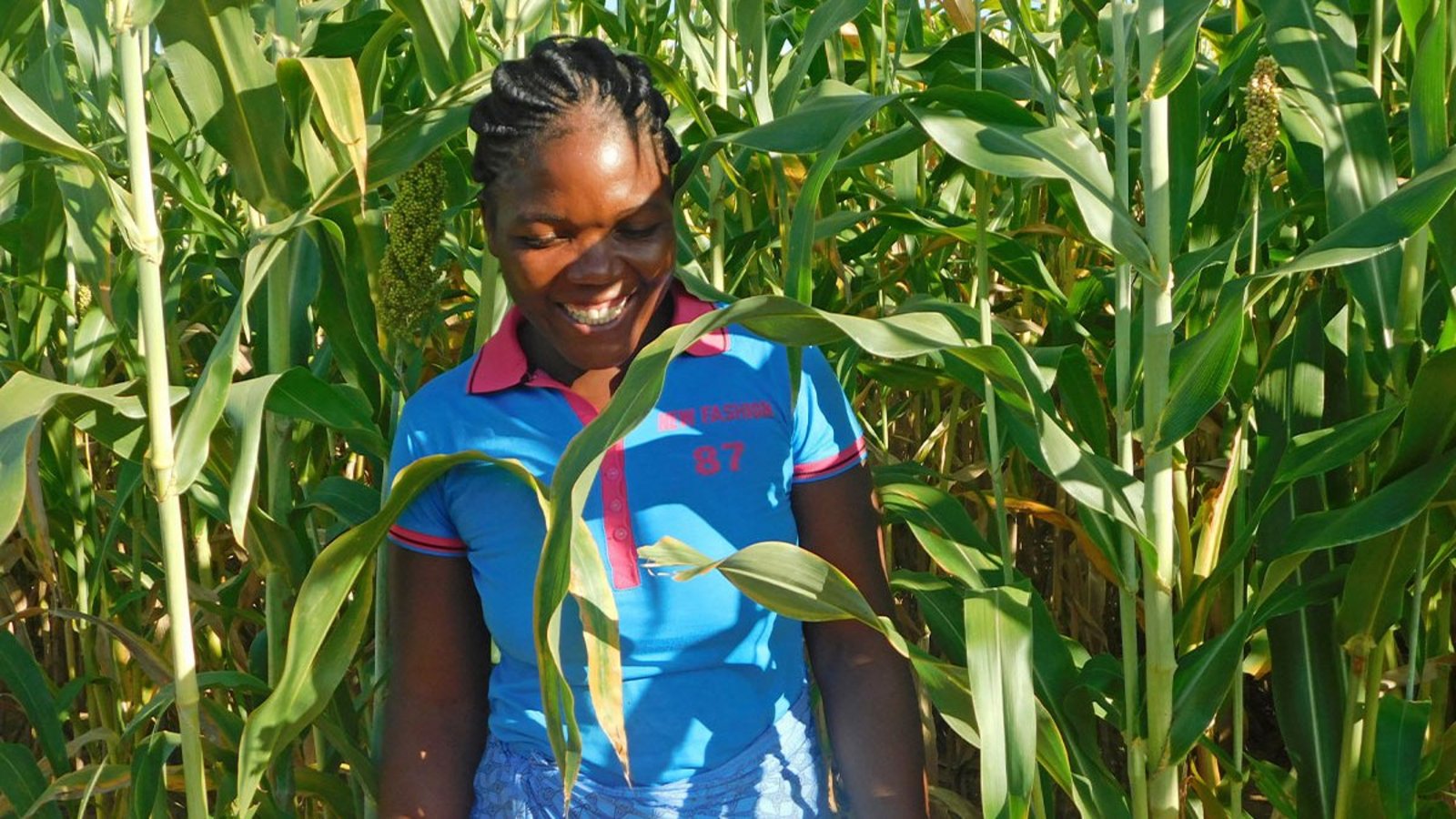 Spenden Simbabwe: Lead Farmer:innen steigern ihre Ernte