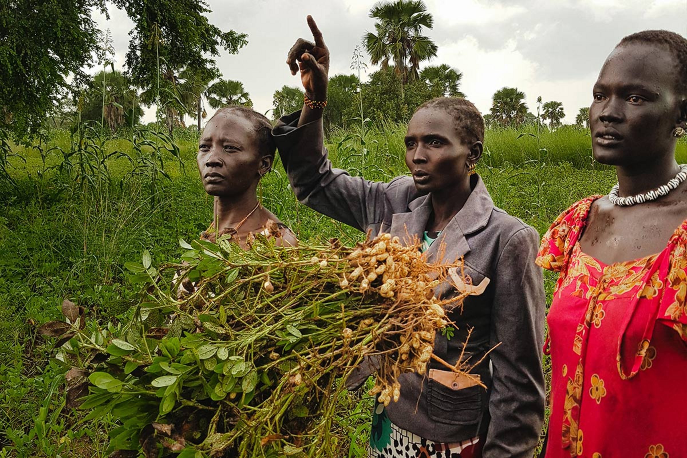 Spenden Südsudan: Help unterstützt Frauenkooperativen