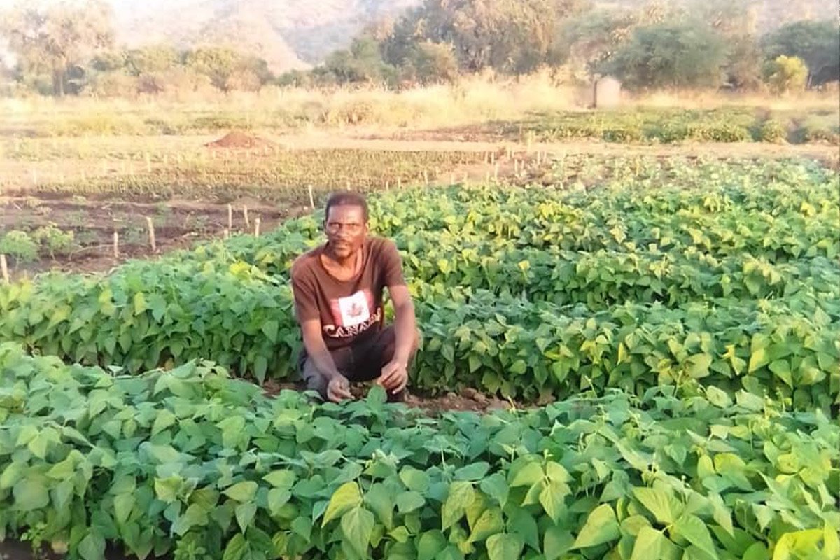 Spenden Simbabwe: Verbesserung der Ernte