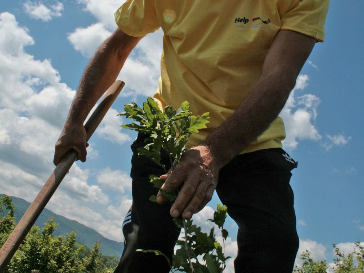 Ein Mitarbeiter von Help pflanzt anlässlich des Jubiläums einen Baum