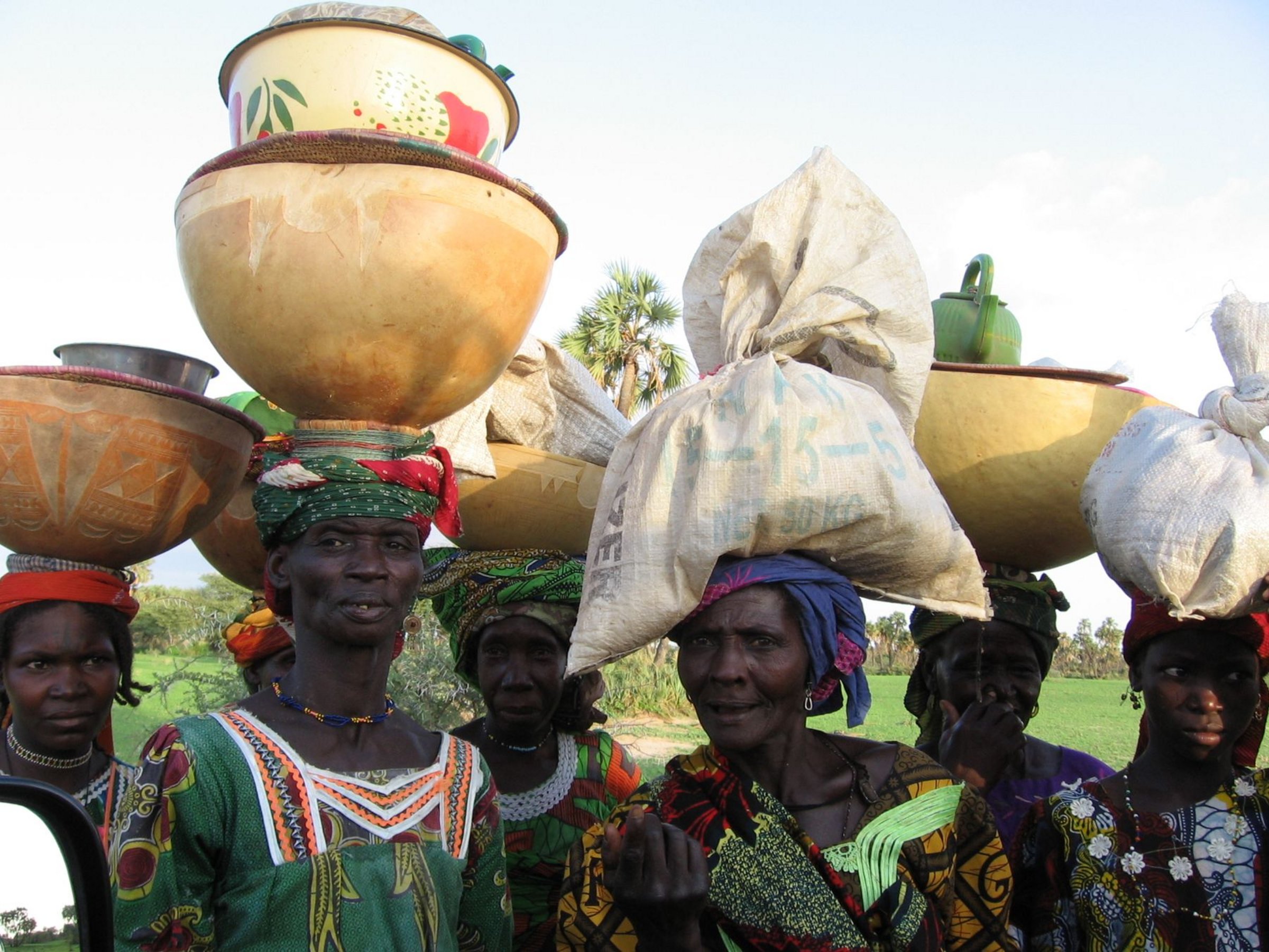 Nigrische Frauen bei der Ernte