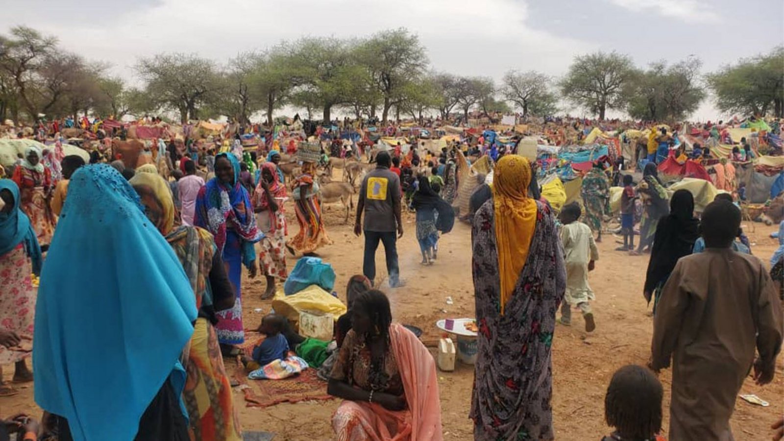 Flüchtlinge aus dem Sudan suchen Schutz im Tschad