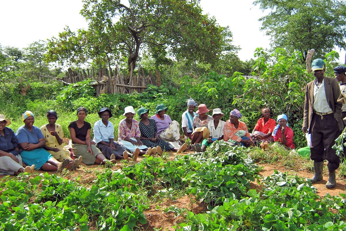 Spenden Simbabwe: Help bildet Lead Farmer:innen aus