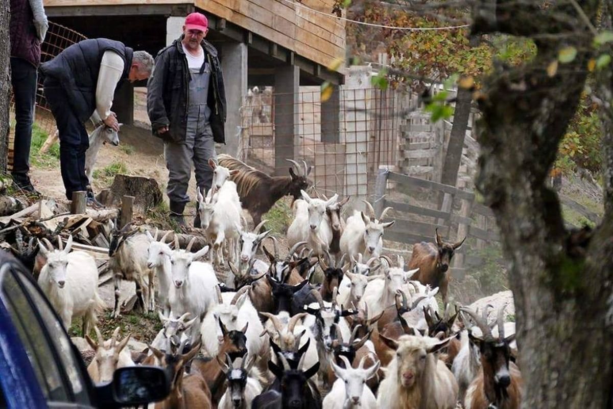 Landwirtschaftsförderung in Bosnien