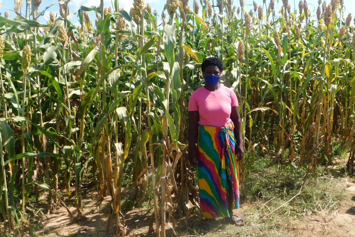 Eine von Help ausgebildete Farmerin vor ihrem Feld
