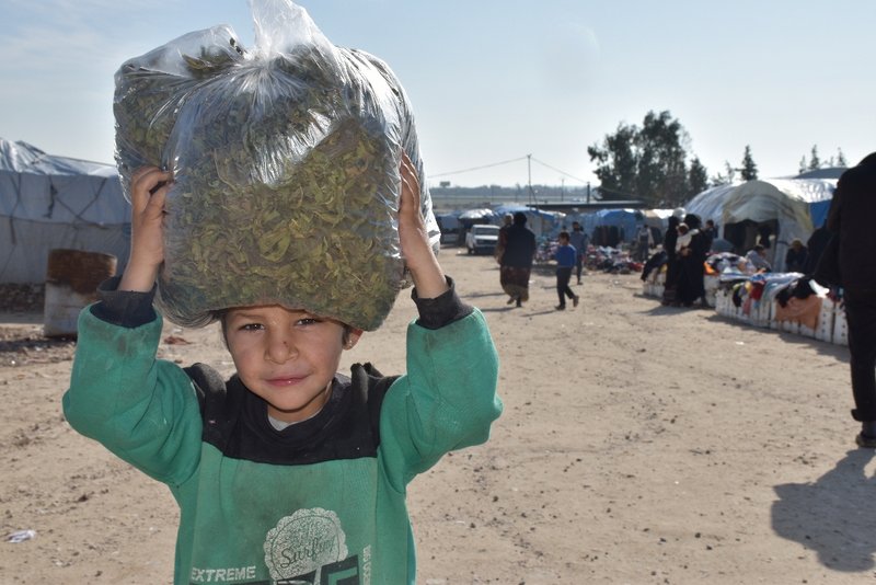 Syrischer Junge trägt ein Paket mit getrockneten Blättern