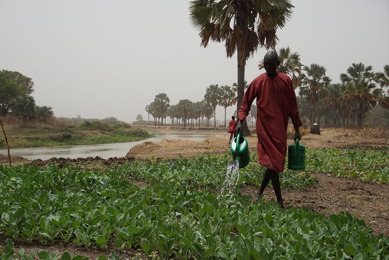 Landwirtschaft im Südsudan