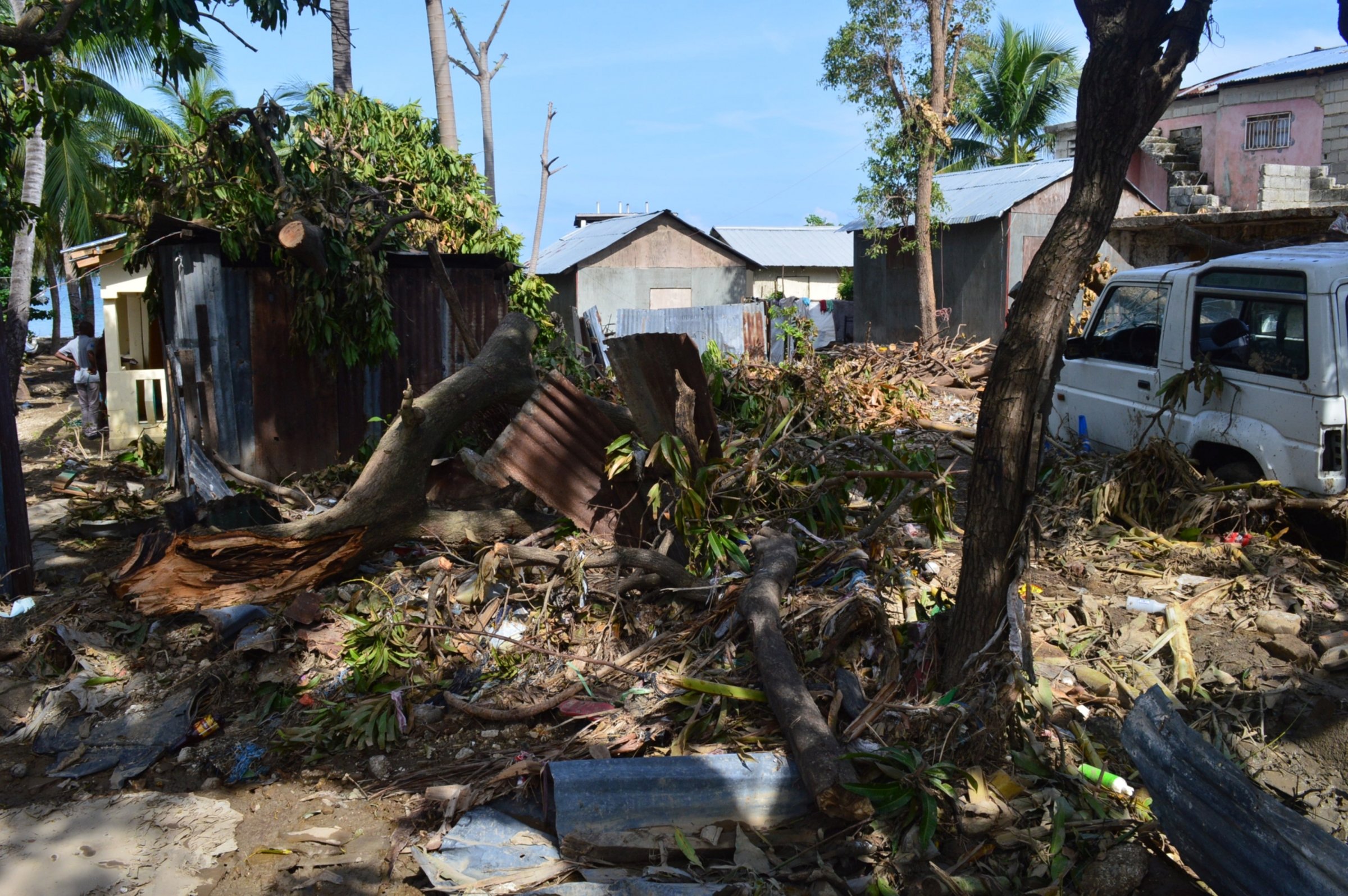 Der Hurrikan Matthew hat Bäume entwurzelt und Häuser zertört