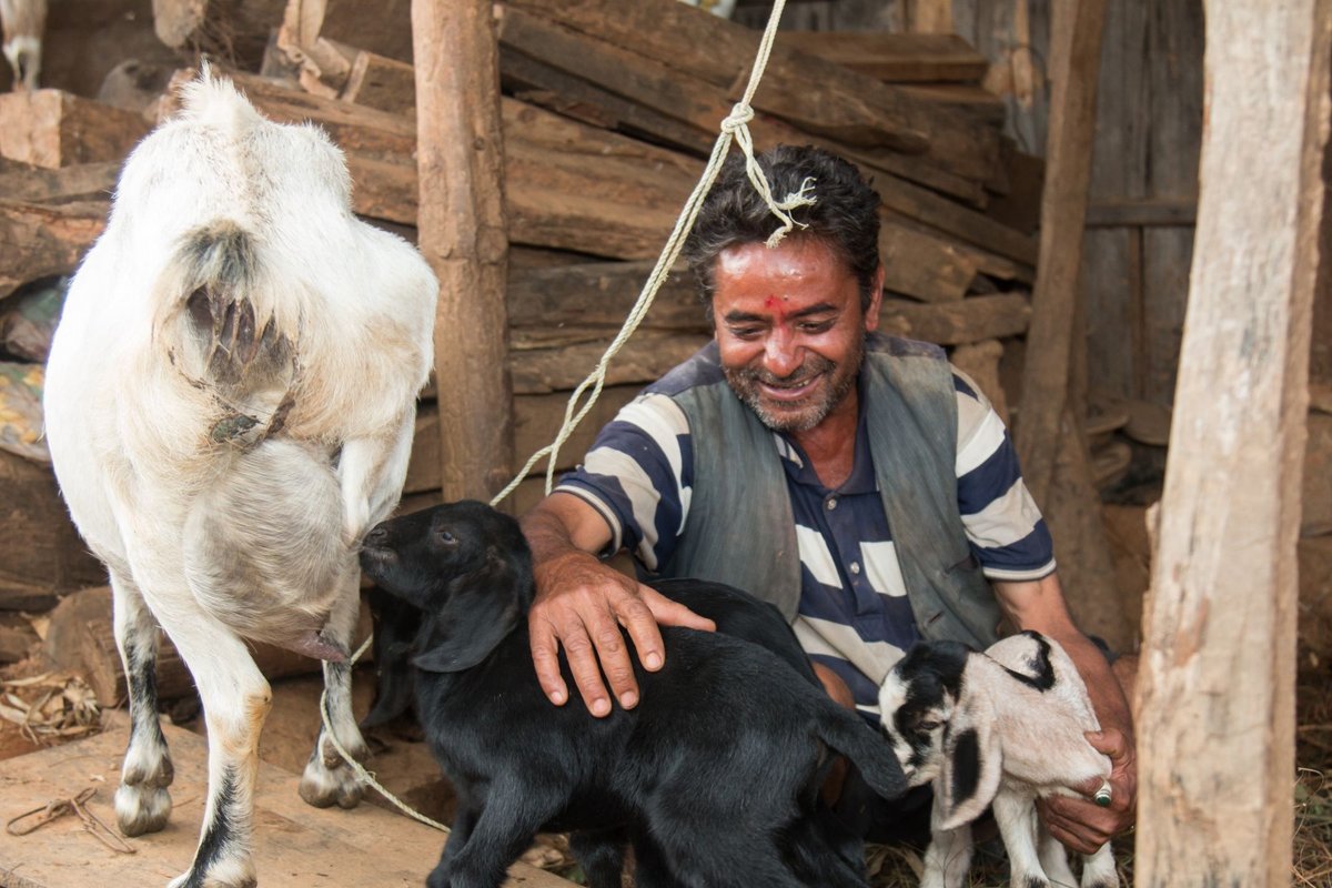 Bauer mit Ziege in Nepal