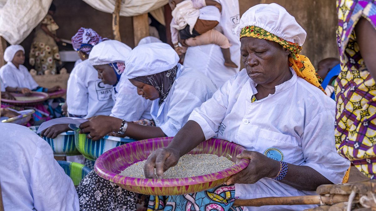 Frauenkooperative in Mali