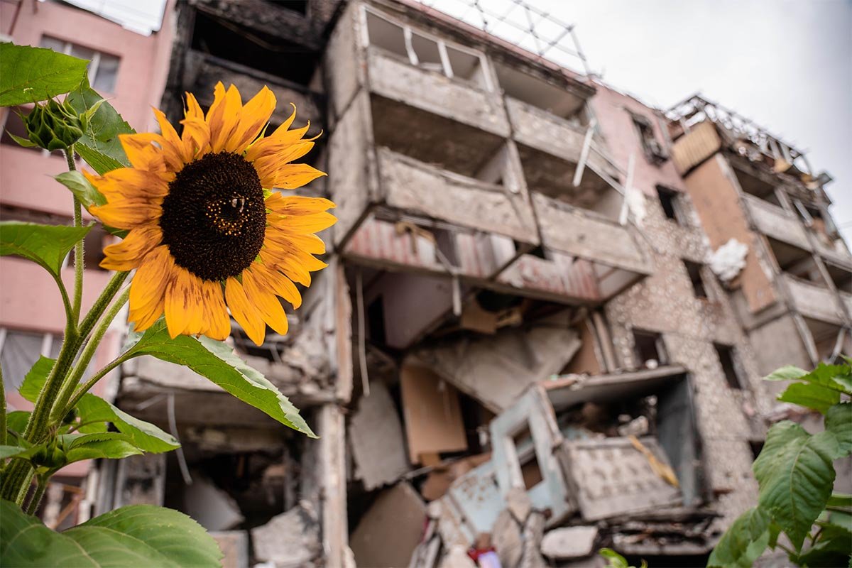 Zerstörtes Gebäude in der Ukraine und Blume
