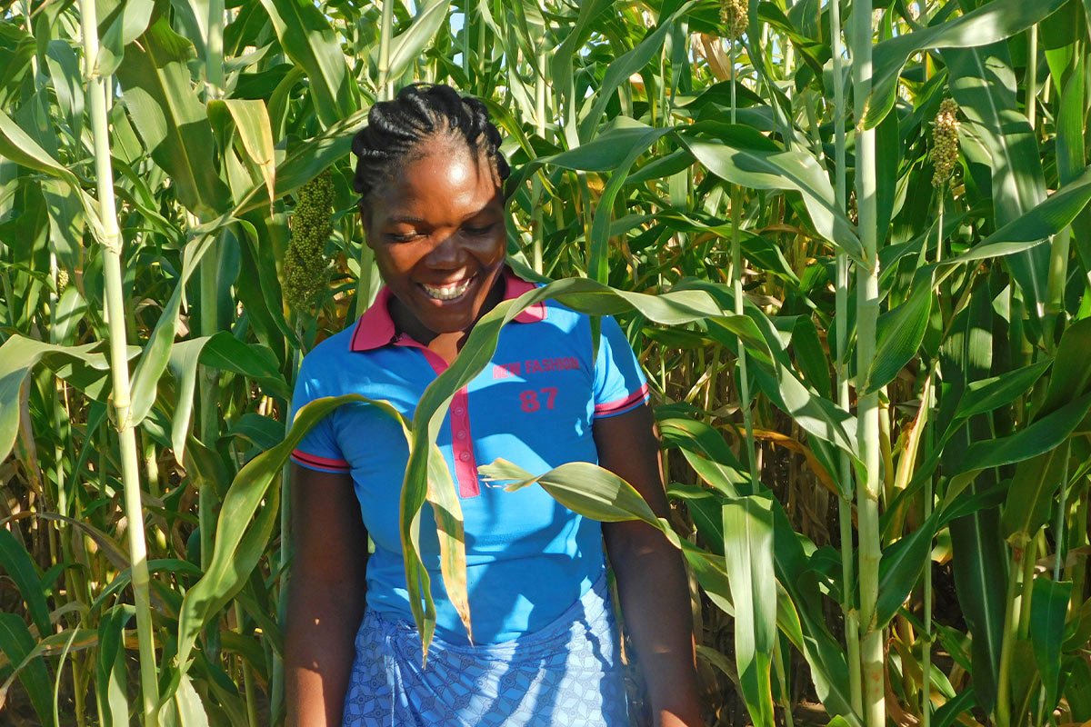 Spenden für Afrika: Eine Bäuerin aus Simbabwe in einem Maisfeld