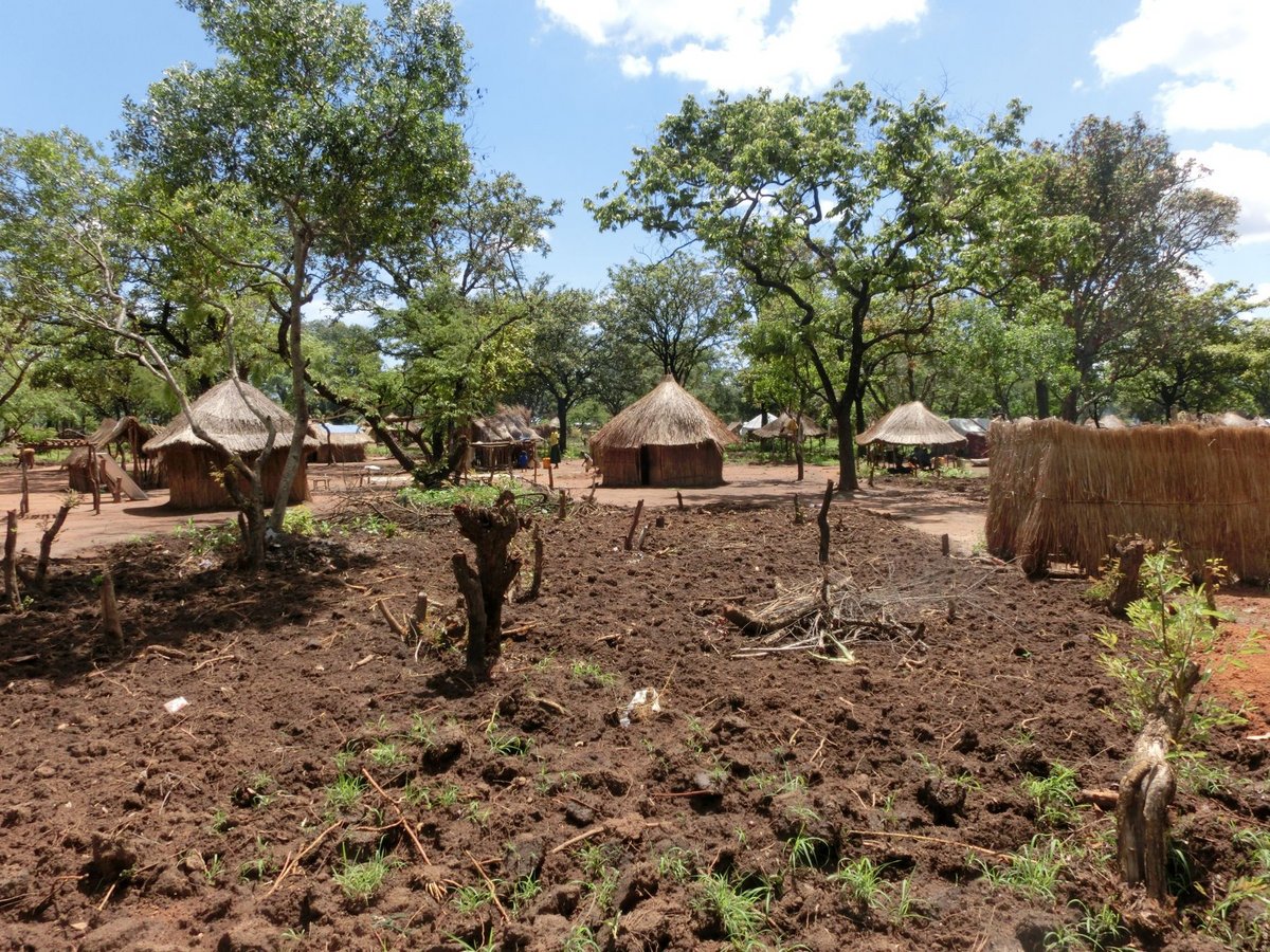 Ackerbau im Flüchtlingscamp im Südsudan