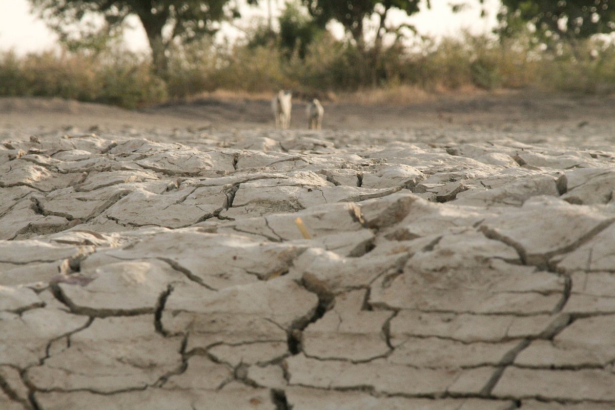Tschad: Ausgetrockneter Boden