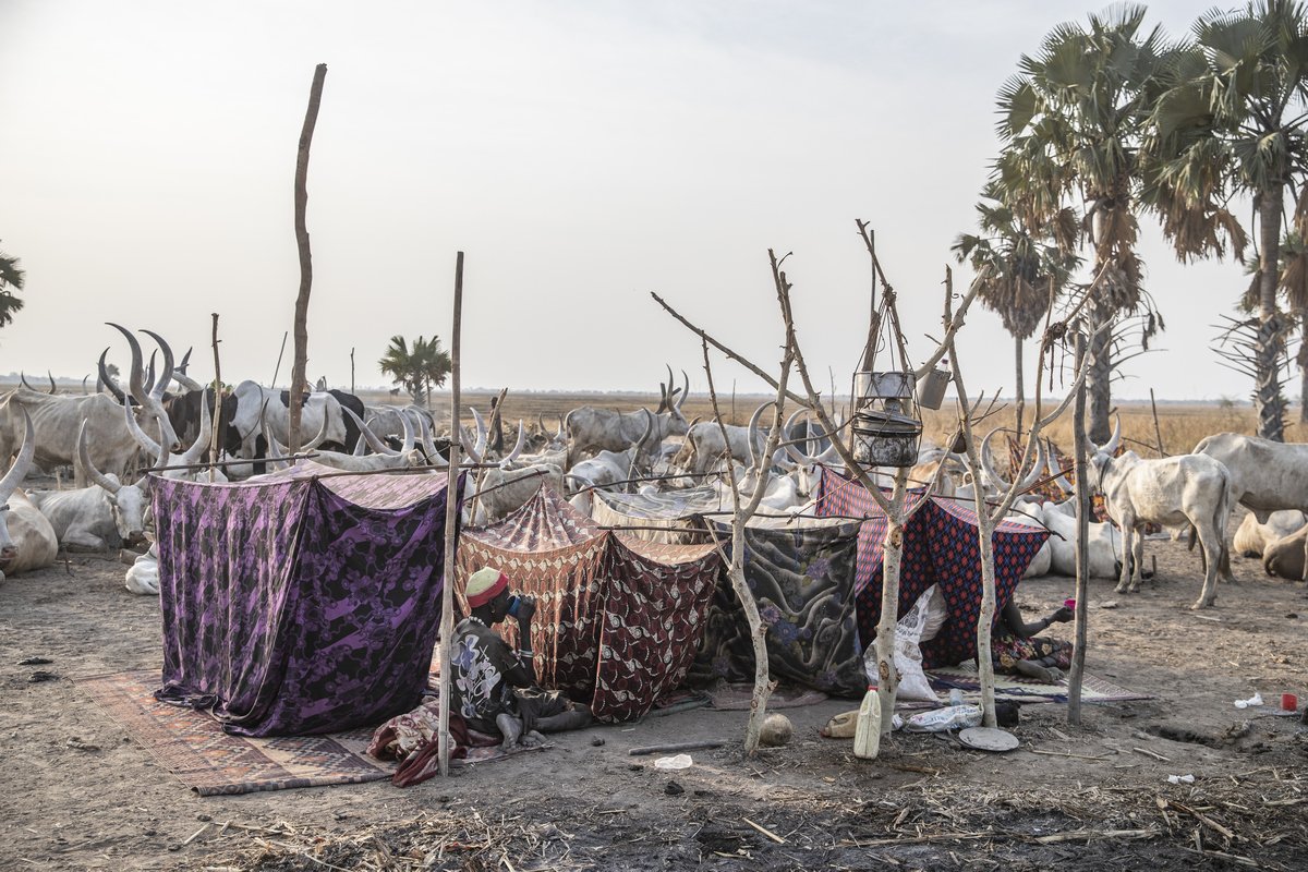 Nomaden im Südsudan