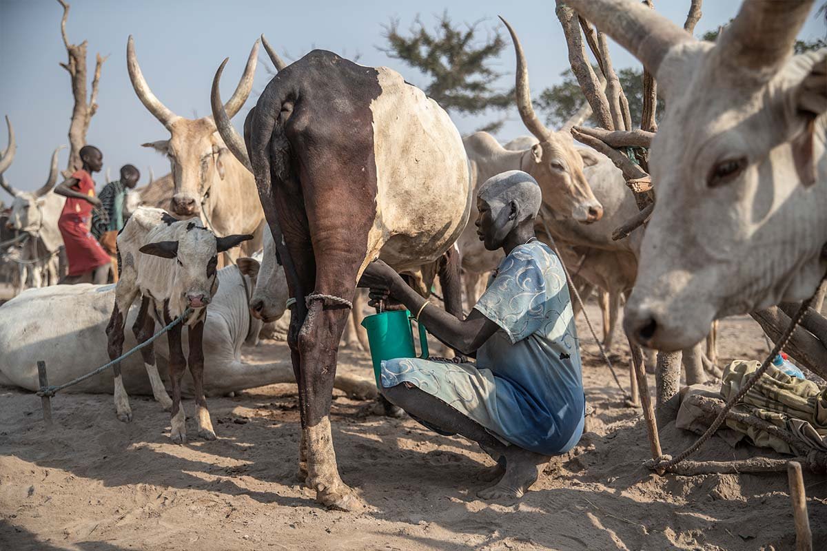 10 Jahre Südsudan: Viele Menschen leben von der Landwirtschaft