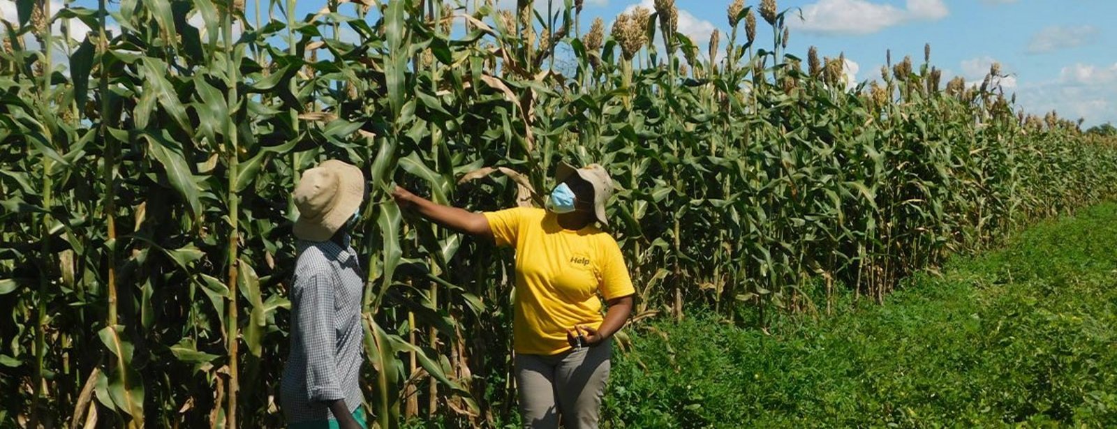 Zwei Frauen vor wachsendem Getreide