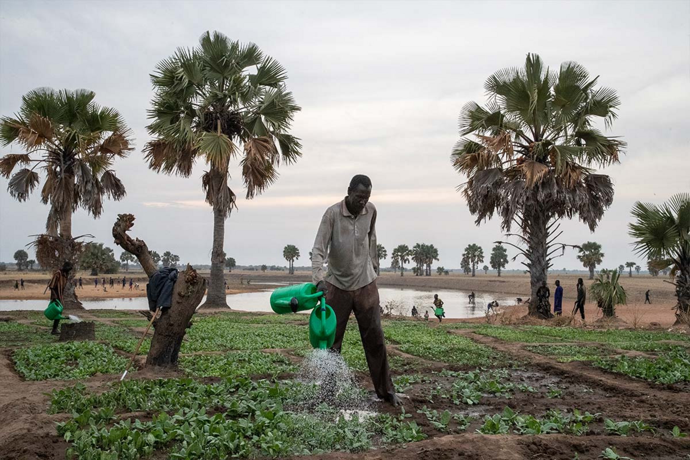 10 Jahre Südsudan: Help fördert die Landwirtschaft