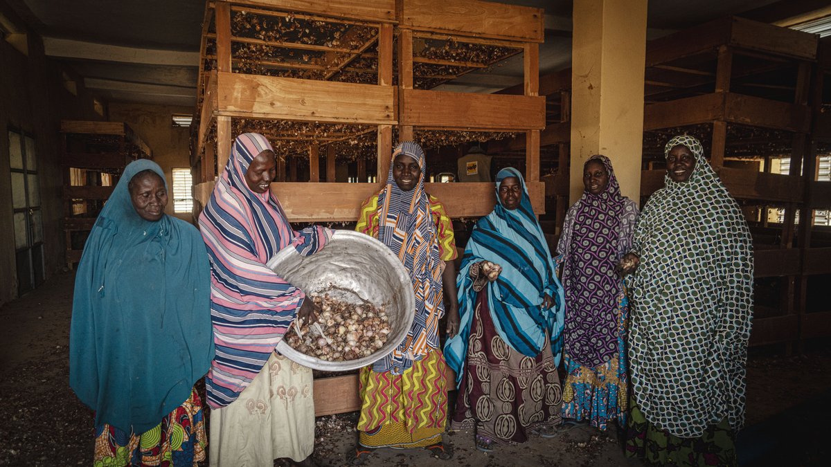 Fünf Landwirtinnen der Kooperative "Allahidou" in Mali