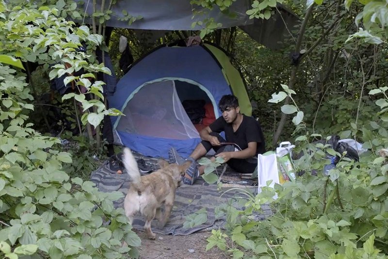 Spenden Bihac: Flüchtlinge leben im Wald in Bosnien