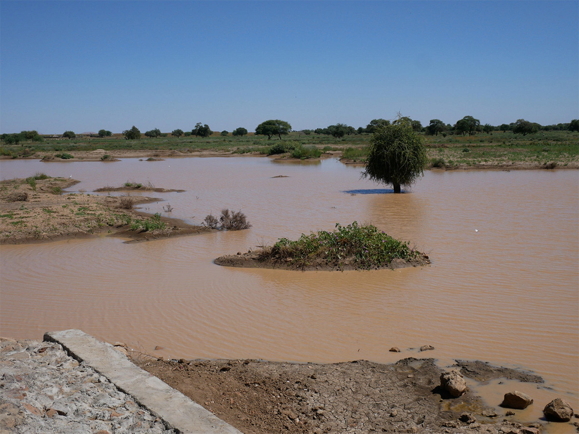 Gesammeltes Regenwasser im Tschad