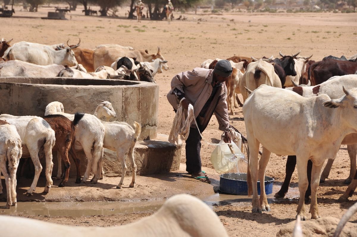 Hilfe für Bauern im Tschad durch Brunnen