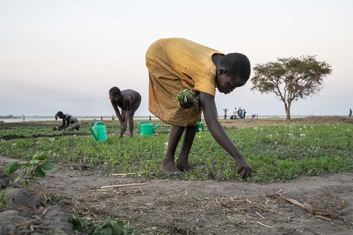 10 Jahre Südsudan: Help stärkt die Ernährungssicherung