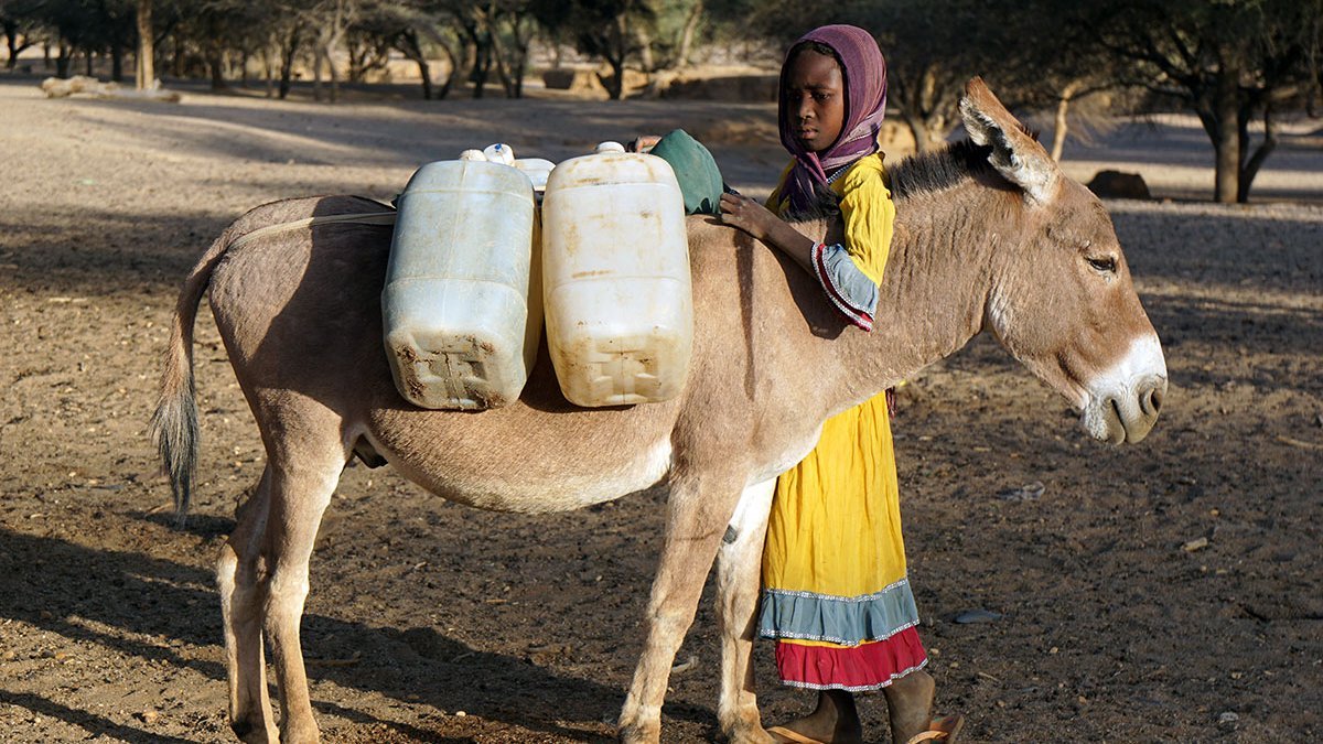 Ein tschadisches Mädchen holt mithilfe eines Esels Trinkwasser