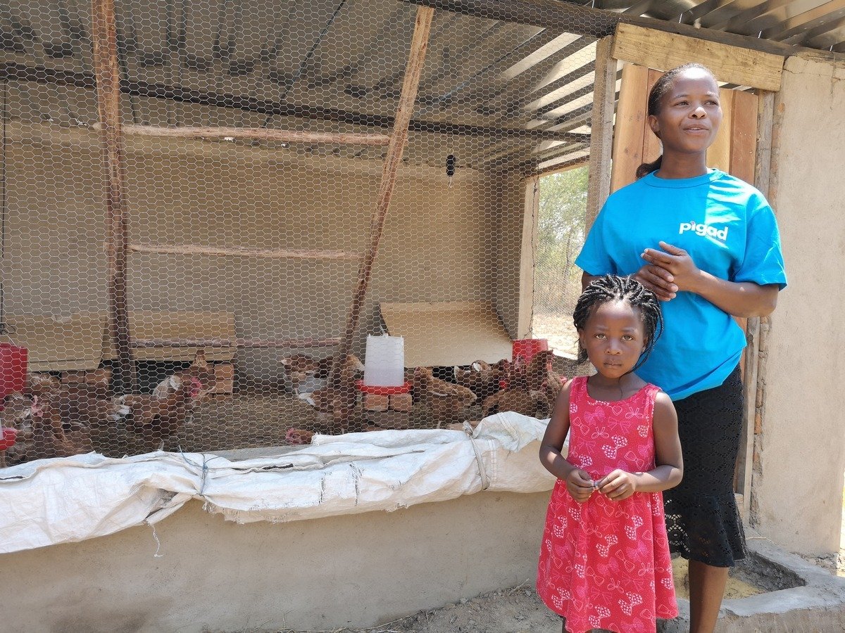Familien in Simbabwe leben von Hühnerzucht