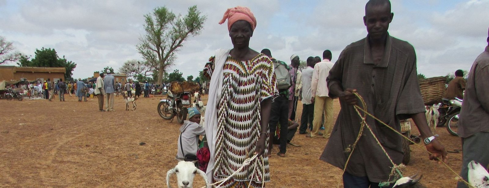 Kleinbauern sichern Einkommen durch Viehzucht