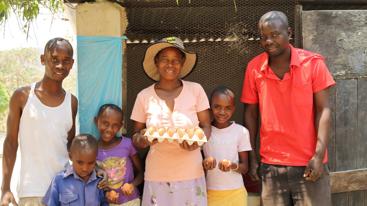 Help hat diese Familie aus Simbabwe bei der Hühnerzucht unterstützt. Dank des Verkaufs von Eiern haben sie ein Einkommen.