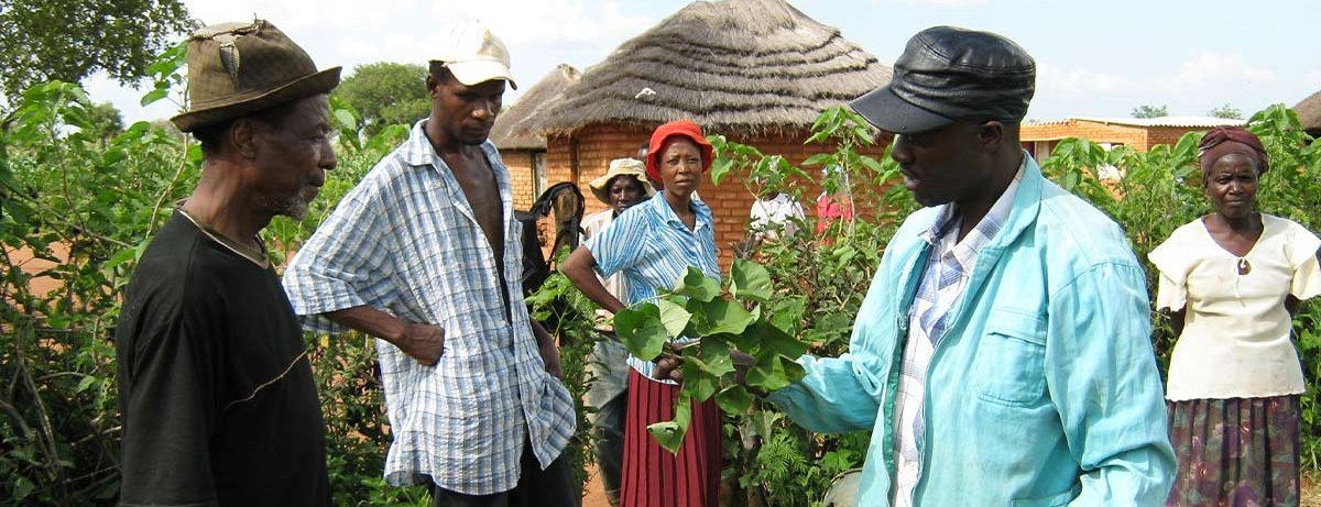 Spenden Simbabwe: Ausbildung der Lead Farmer:innen