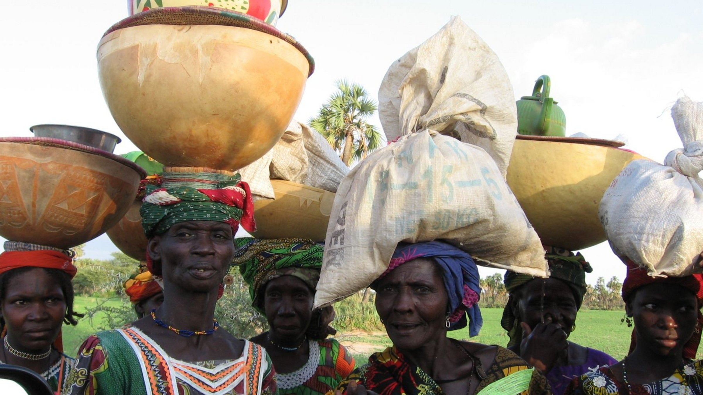 Nigrische Frauen bei der Ernte