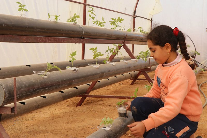 Ein junges Mädchen betrachtet eine Hydroponik-Anlage in Syrien