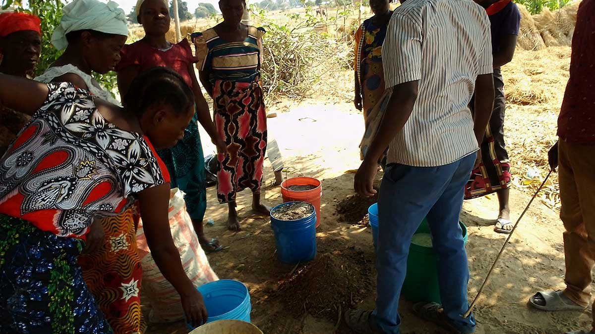 Eine Gruppe Frauen und Männer in Malawi erhält wertvolles Wissen zur nachhaltigen Bewirtschaftung von Böden.