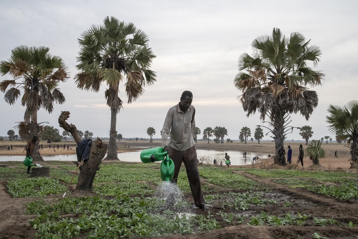 Felder wässern im Südsudan