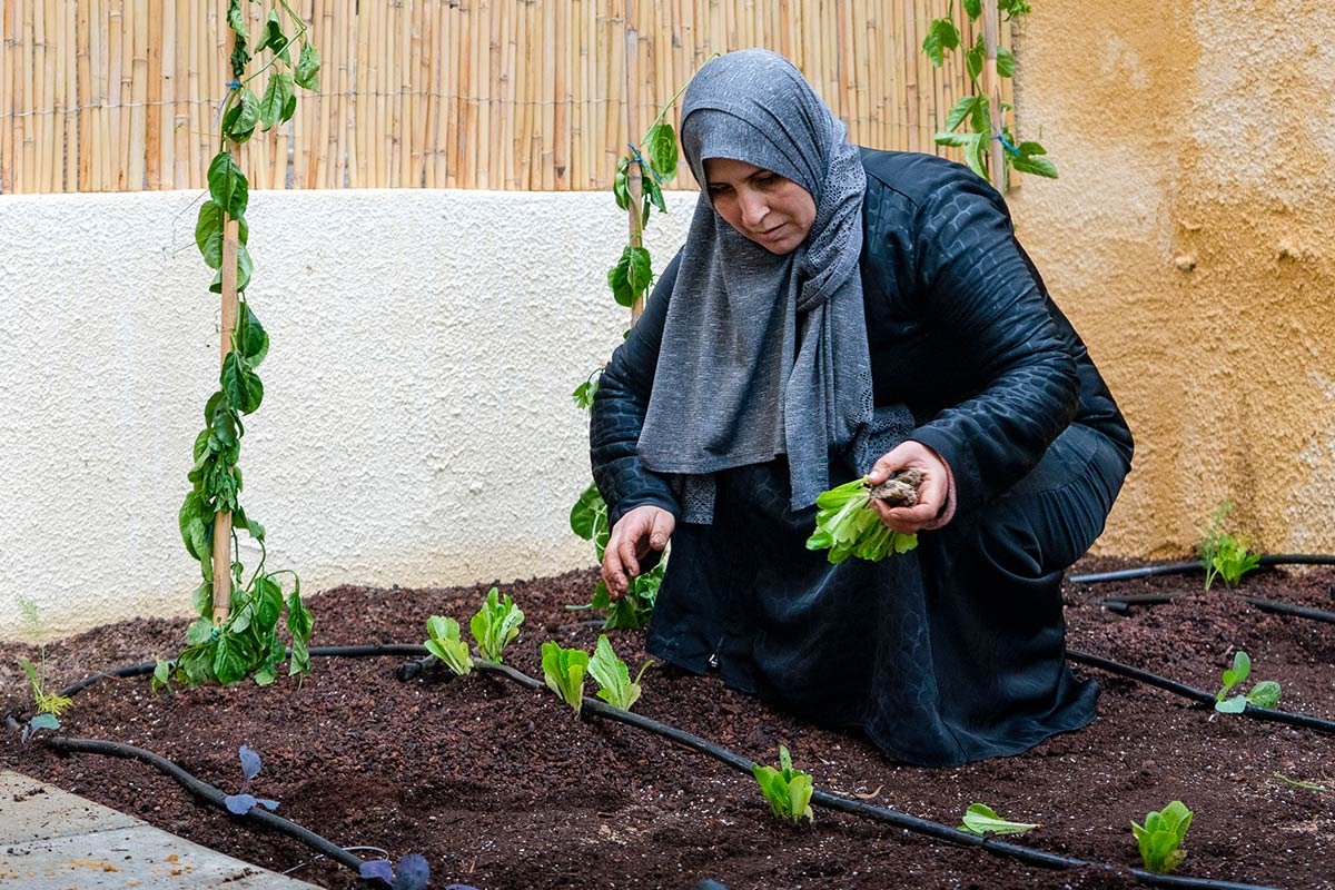 Urban Gardening in Jordanien